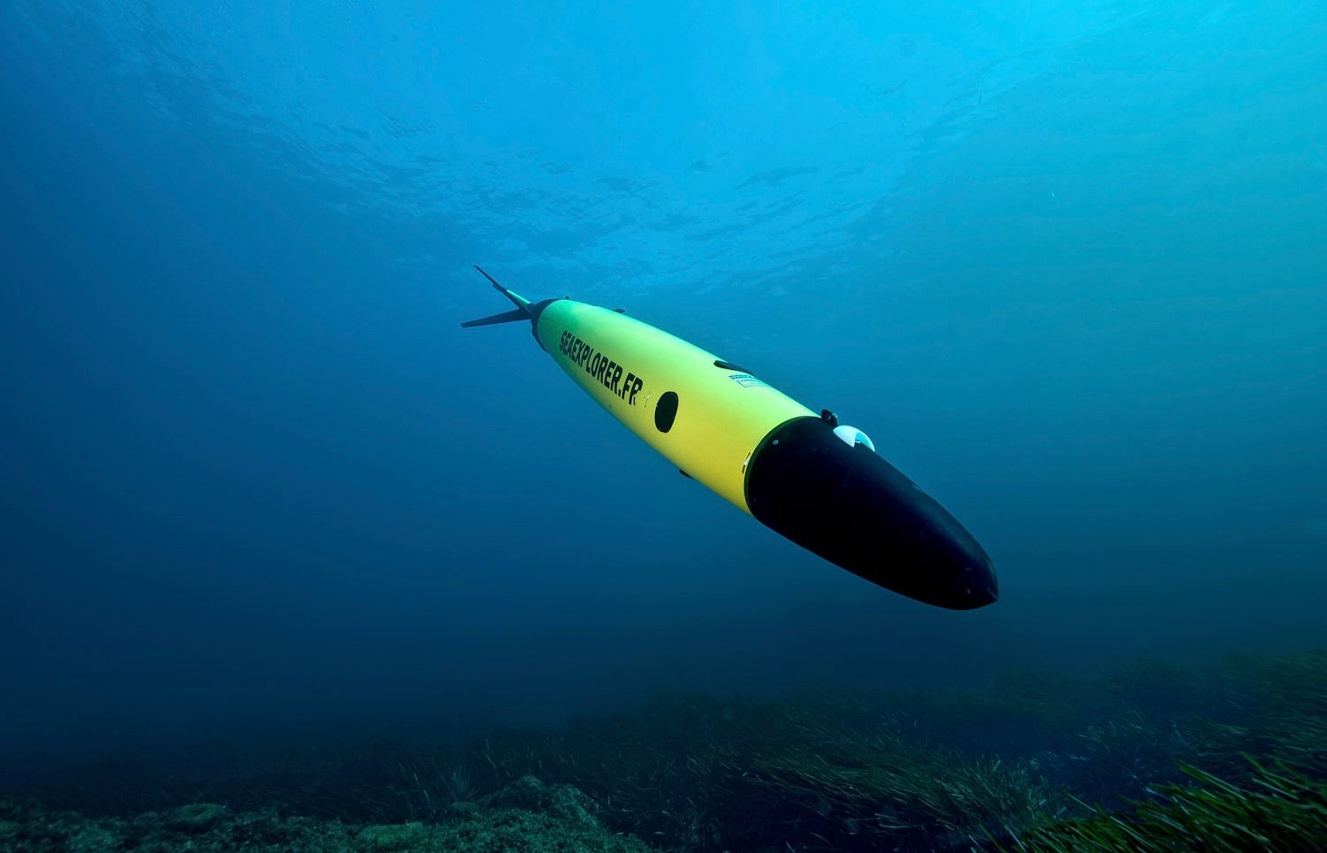Seaexplorer_diving.jpg